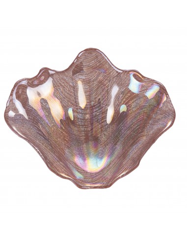 CONCHIGLIA OSTRICA 19CM 6 COLORI... CONCHIGLIA OSTRICA 19CM 6 COLORI...