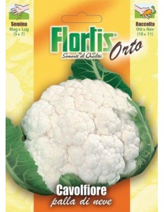 CAVOLFIORE PALLA DI NEVE