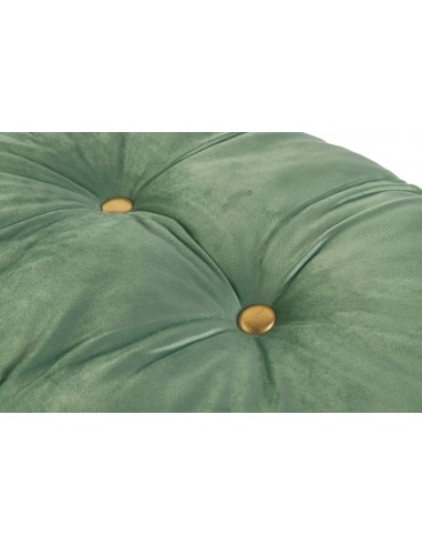 CUSCINO VELLUTO 42X63CM 500GR SALVIA... CUSCINO VELLUTO 42X63CM 500GR SALVIA...