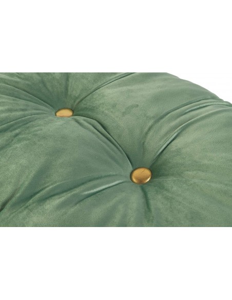 CUSCINO VELLUTO 42X63CM 500GR SALVIA C BORDO ORO