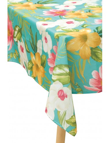 TOVAGLIA ANTIMACCHIA 140X240CM 5... TOVAGLIA ANTIMACCHIA 140X240CM 5...