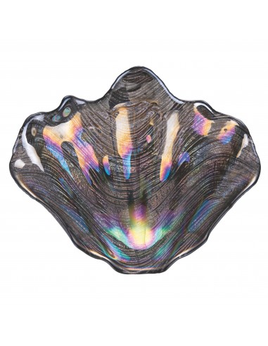 CONCHIGLIA OSTRICA 19CM 6 COLORI... CONCHIGLIA OSTRICA 19CM 6 COLORI...