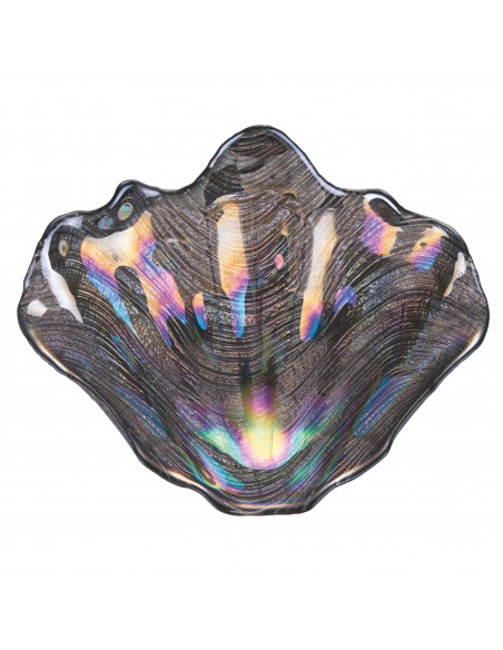 CONCHIGLIA OSTRICA 19CM 6 COLORI ASSORTITI