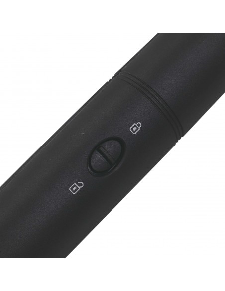 PIASTRA PER CAPELLI 30W NERA E ORO CHAMPAGNE