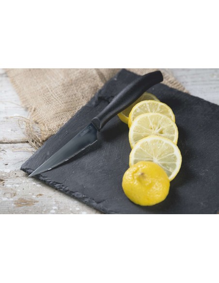 SET 6 COLTELLI TAVOLA 21CM LAMA LARGA DENTIPICCOLI