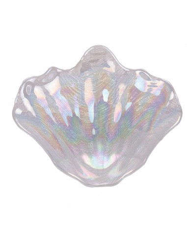 CONCHIGLIA OSTRICA 19CM 6 COLORI... CONCHIGLIA OSTRICA 19CM 6 COLORI...