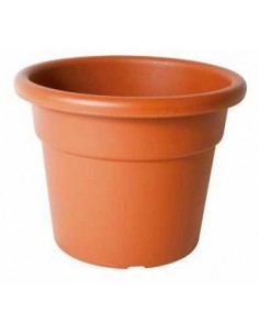VASO NORMALCOTTO D,60 COTTO