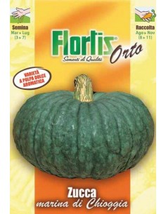 ZUCCA MARINA DI CHIOGGIA