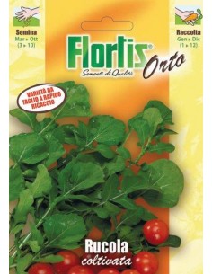 RUCOLA COLTIVATA