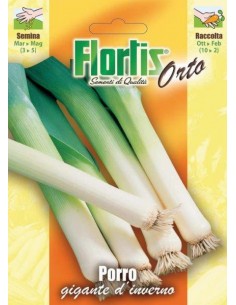 PORRO GIGANTE D'INVERNO