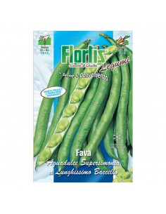 SEMI IN BUSTA FAVA...