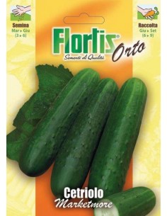 CETRIOLO MARKETMORE