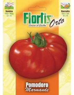 POMODORO MARMANDE
