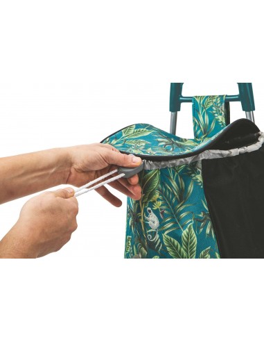 SCIMMIA CARRELLO SPESA 3 COLORI... SCIMMIA CARRELLO SPESA 3 COLORI...