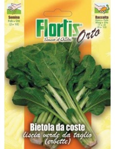 BIETOLA DA COSTE ERBETTE