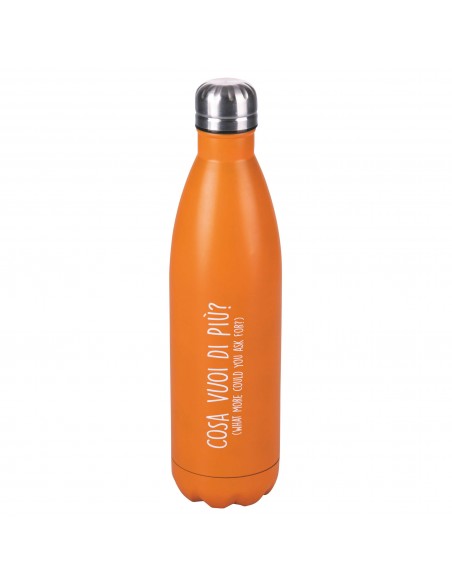 BOTTIGLIA TER. INOX 36H 500ML 8 COLORI ASSORTITI LOST IN