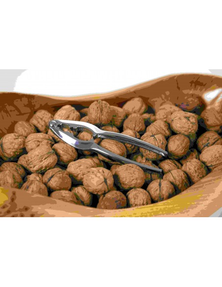 SCHIACCIANOCI CROMATO