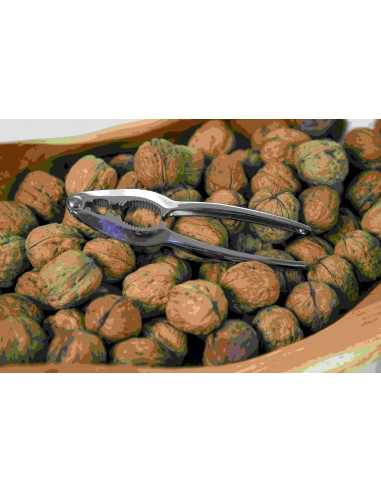 SCHIACCIANOCI CROMATO SCHIACCIANOCI CROMATO