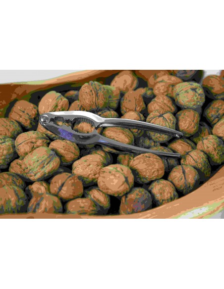 SCHIACCIANOCI CROMATO