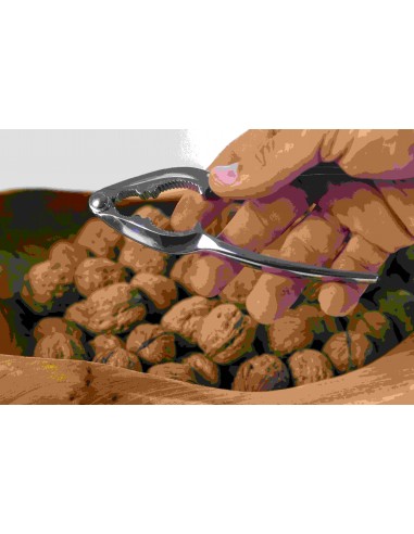 SCHIACCIANOCI CROMATO SCHIACCIANOCI CROMATO