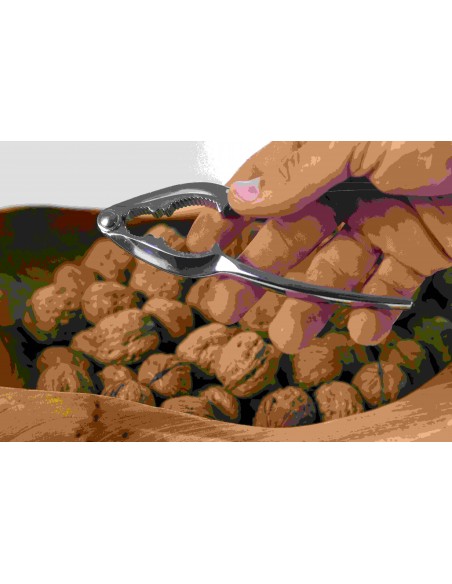 SCHIACCIANOCI CROMATO