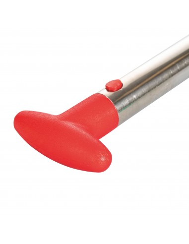 TAGLIA ANANAS ACCIAIO 24 CM  6 COLORI... TAGLIA ANANAS ACCIAIO 24 CM  6 COLORI...