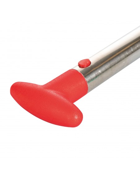 TAGLIA ANANAS ACCIAIO 24 CM  6 COLORI ASSORTITI