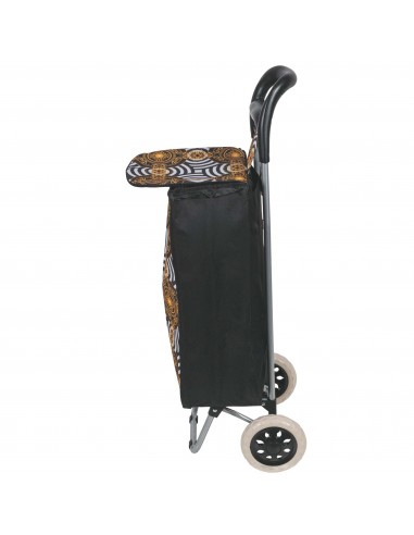 CARRELLO SPESA CATENE 2 RUOTE 4... CARRELLO SPESA CATENE 2 RUOTE 4...