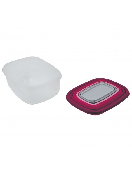 SET 6 CONTENITORI RETTANGOLARI CON COPERCHIO 3 COLORI ASSORTITI