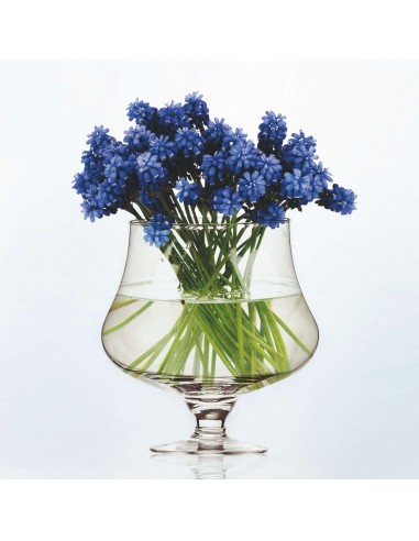 VASO CON PIEDE VETRO DM 13X20 H VASO CON PIEDE VETRO DM 13X20 H