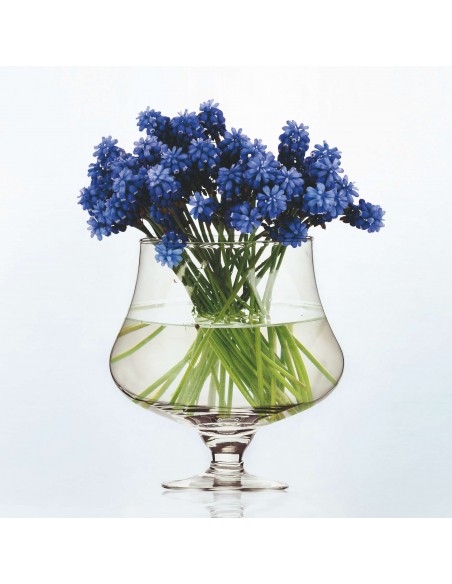 VASO CON PIEDE VETRO DM 13X20 H