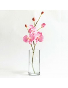 VASO CYLINDER VETRO 26CM H 2