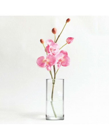 VASO CYLINDER VETRO 26CM H VASO CYLINDER VETRO 26CM H