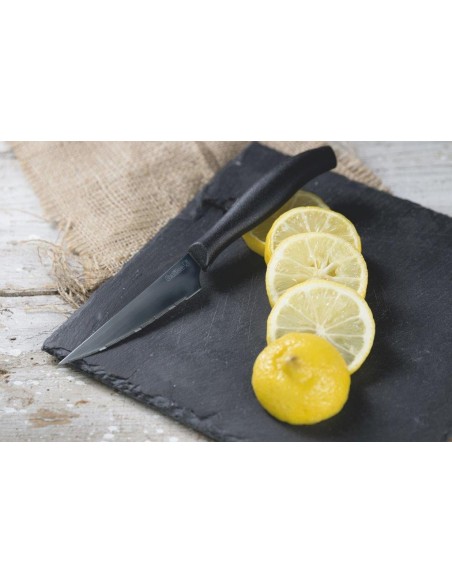 SET 6 COLTELLI TAVOLA 21CM LAMA LARGA DENTIPICCOLI