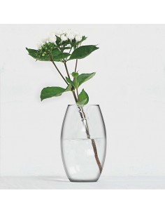 VASO AMARYLLIS VETRO 38CM H 2