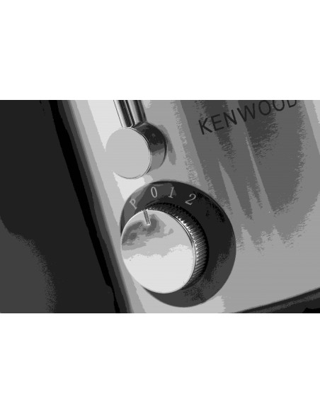 GREEN LIFE CENTRIFUGA 600W ACCIAIO