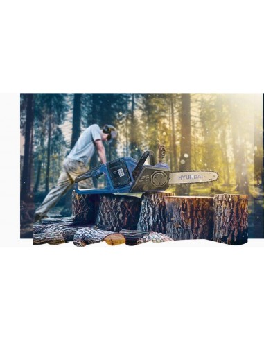 ELETTROSEGA HYUNDAI TG.35 40V SENZA... ELETTROSEGA HYUNDAI TG.35 40V SENZA...