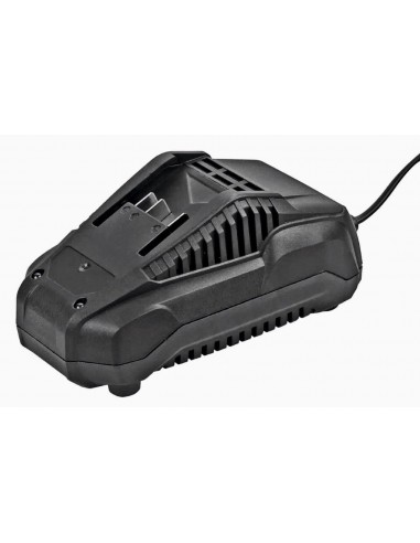 CARICABATTERIE RAPIDO HYUNDAI CARICABATTERIE RAPIDO HYUNDAI