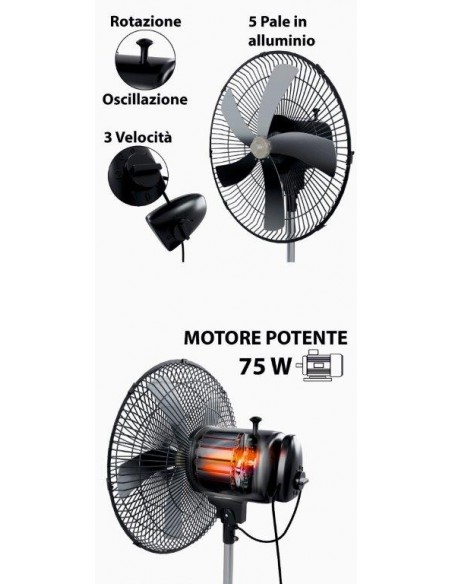 VENTILATORE PIANTANA MEXICALI 5P 75W