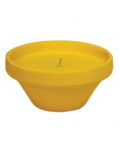 CARIBE VASO TERRACOTTA CITRONELLA