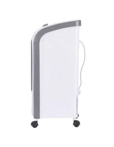 RAFFRESCATORE 3 IN 1 4 LT 80W RAFFRESCATORE 3 IN 1 4 LT 80W