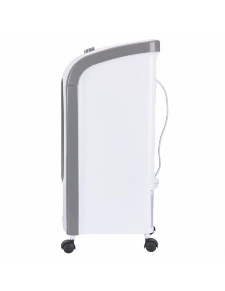 RAFFRESCATORE 3 IN 1 4 LT 80W