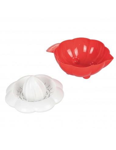 SPREMI AGRUMI 3 COLORI ASSORTITI SPREMI AGRUMI 3 COLORI ASSORTITI