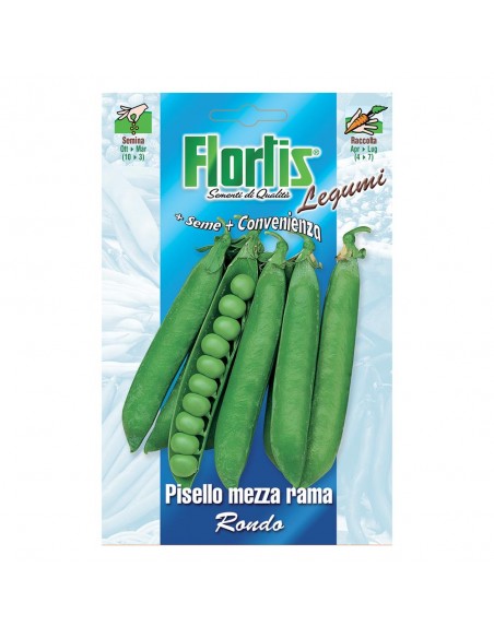 SEMI IN BUSTA PISELLO M.R.RONDO 80 G