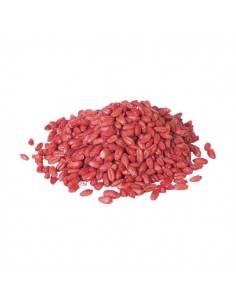 TOPICIDA ESCA IN GRANO 1500 G 2