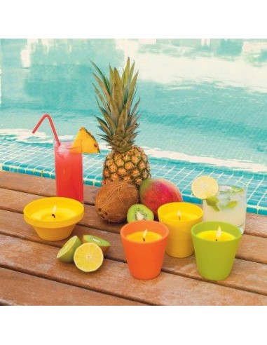 CARIBE BICCHIERE TERRACOTTA CITRONELLA CARIBE BICCHIERE TERRACOTTA CITRONELLA