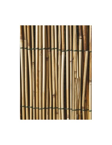 ARELLA CANNUCCIATA 1X3M ARELLA CANNUCCIATA 1X3M