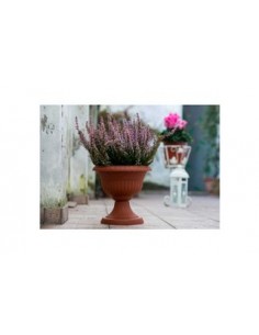 VASO CON SUPPORTO  D.30 X... 2