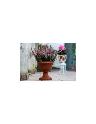 VASO CON SUPPORTO  D.30 X 30CM COLORE... VASO CON SUPPORTO  D.30 X 30CM COLORE...