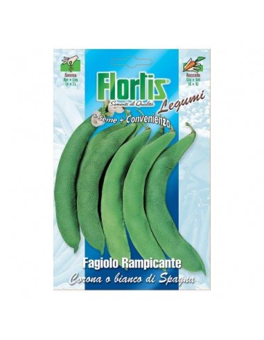 SEMI IN BUSTA FAGIOLO RAMP.CORONA 70 G SEMI IN BUSTA FAGIOLO RAMP.CORONA 70 G